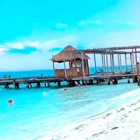 Meet your Posher, Nancy - Picture 1 of 1